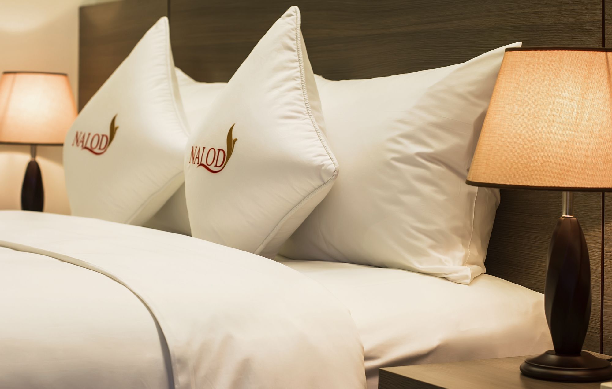 The Nalod Da Nang Hotel Luaran gambar